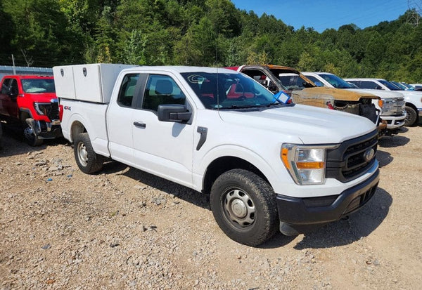 2021 Ford F-150 XL vehicle photo 4