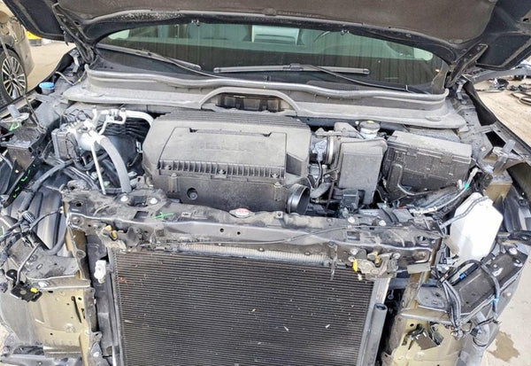2025 Honda Pilot EX-L photo 12