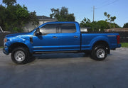 2021 Ford F-250 Super Duty Platinum thumbnail 6