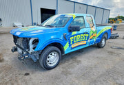 2025 Ford F-150 XL thumbnail 12