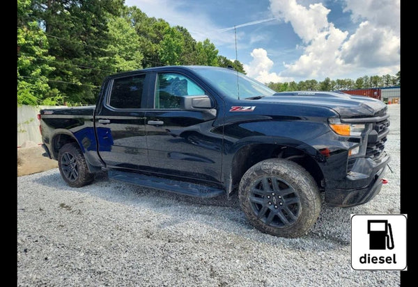 2022 Chevrolet Silverado 1500 Custom Trail Boss vehicle photo 12