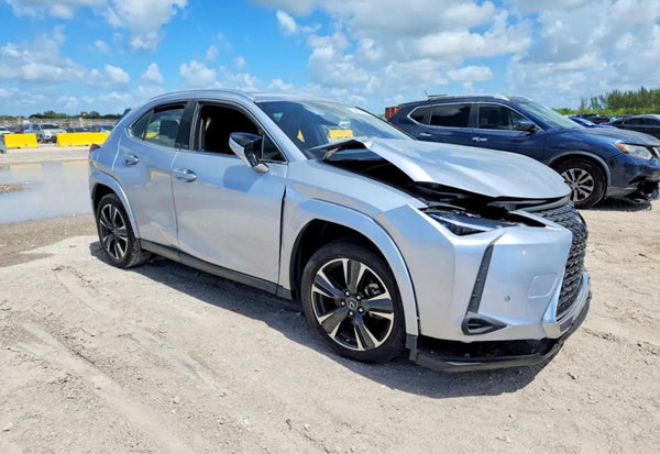 2023 Lexus UX 250h Premium vehicle photo 12