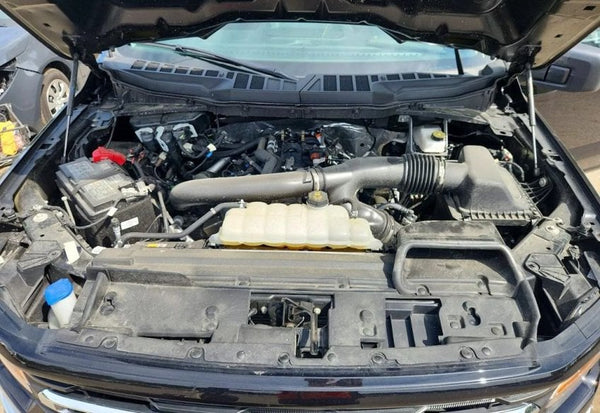 2025 Ford F-150 XLT vehicle photo 11