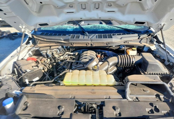 2024 Ford F-150 XL photo 11