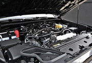 2025 Toyota 4Runner SR5 thumbnail 21
