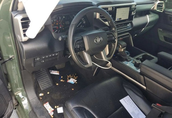 2022 Toyota Tundra SR5 photo 9