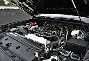 2025 Toyota 4Runner SR5 thumbnail 22