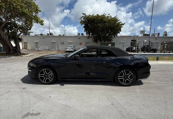 2020 Ford Mustang EcoBoost photo 5