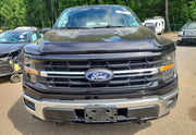 2025 Ford F-150 XLT thumbnail 16