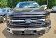 2025 Ford F-150 XLT thumbnail 5
