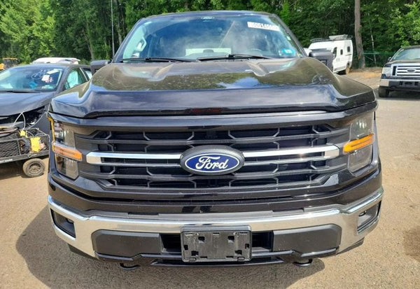 2025 Ford F-150 XLT vehicle photo 5
