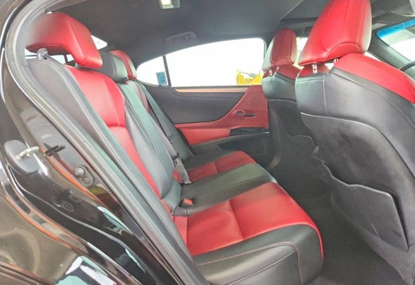 2023 Lexus ES 350 F SPORT Handling vehicle photo 10