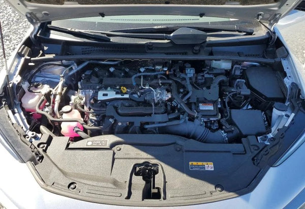 2024 Toyota Prius photo 11