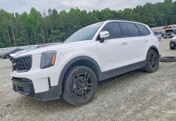 2024 Kia Telluride EX X-Line vehicle photo 11