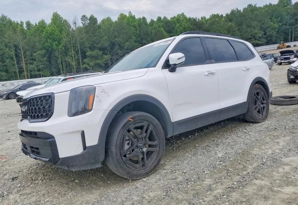 2024 Kia Telluride EX X-Line vehicle photo 1