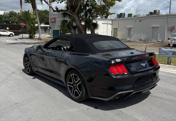 2020 Ford Mustang EcoBoost photo 3