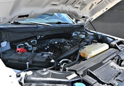 2023 Ford F-150 XL Pickup 4D 6 1/2 ft thumbnail 18